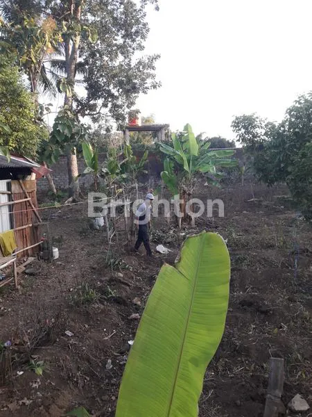 image TANAH KAVLING SIAP BANGUN LT 152 M2 DI JL. SIKU DESA PANGUNGREJO. KEC KEPANJEN. KAB. MALANG JATIM (2)