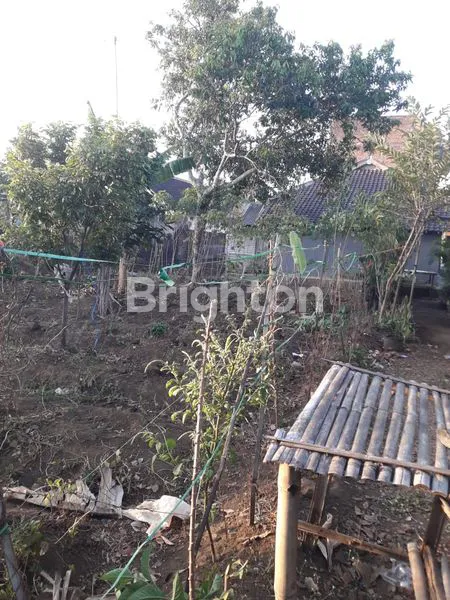 image TANAH KAVLING 2 UNIT JEJER SIAP BANGUN LT 311 M2 DI JL. SIKU DESA PANGUNGREJO. KEC KEPANJEN. KAB. MALANG JATIM (3)
