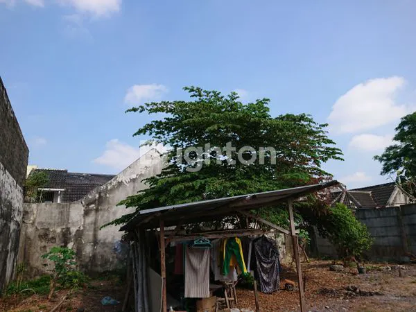 image TANAH ISTIMEWA SELANGKAH DARI JOGJA CITY MALL (6)