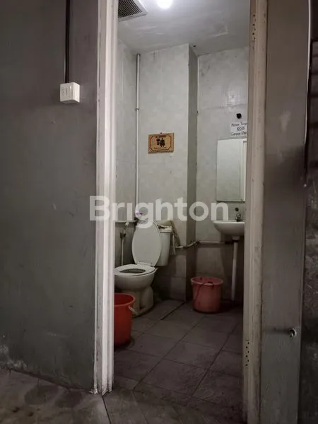 image RUKO ELANG LAUT (3)