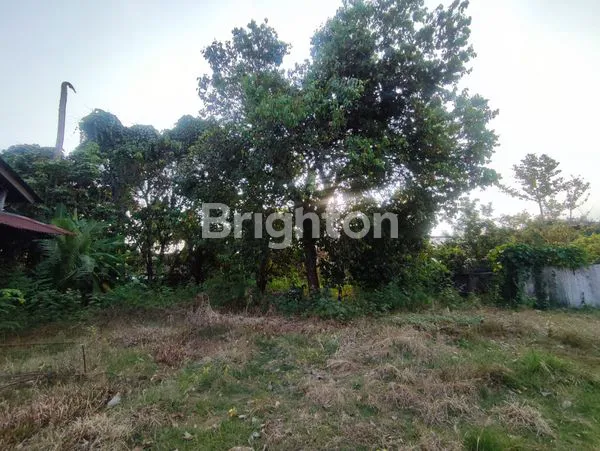 image TANAH DEMANG LEBAR DAUN PALEMBANG (1)