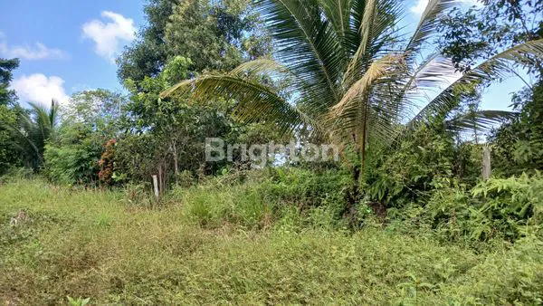 image DIJUAL TANAH/LAHAN SAMPAI LAUT PINGGIR JALAN POROS KARIANGAU  COCOK DIBUAT PABRIK, GUDANG, WORKSHOP DAN USAHA LAINNYA SEKALIGUS PELABUHAN UNTUK BONGKAR MUAT BARANG HARGA NEGO (1)