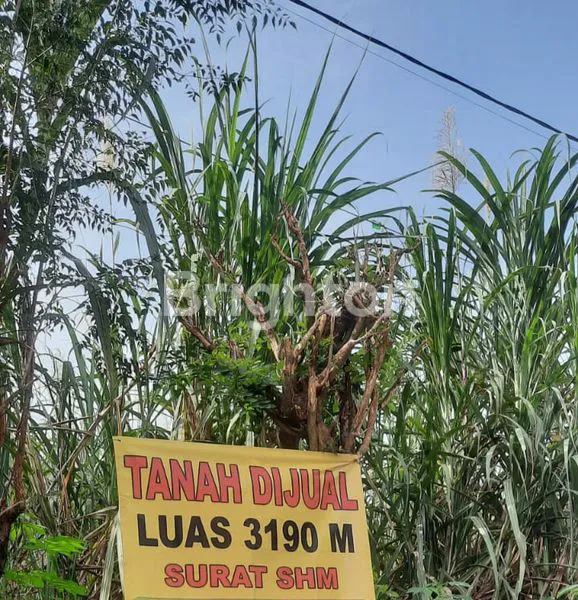 image LAHAN STRATEGIS 3.190M² DI MALANG, SIAP UNTUK BISNIS (1)