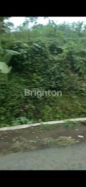 image LAHAN STRATEGIS 3.190M² DI MALANG, SIAP UNTUK BISNIS (8)