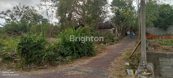 image LSTRATEGIC LAND FOR VILLA AREA IN NUSA DUA (4)