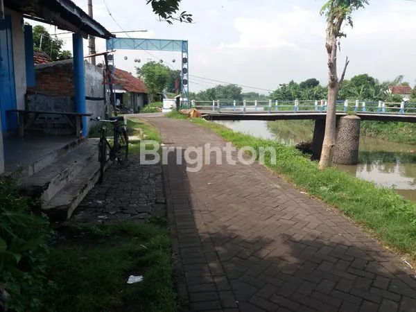 image BUC TAMBAK DI BANGIL (3)