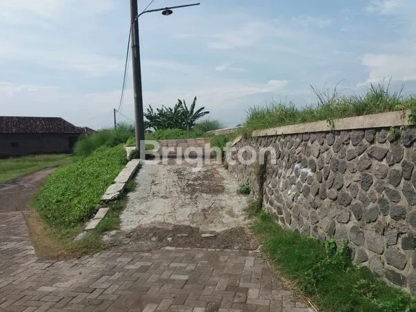 image BUC TAMBAK DI BANGIL (4)