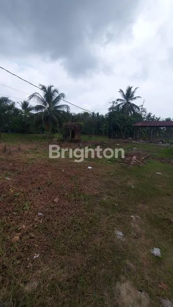 image LAHAN BESERTA 2 RUMAH DI TEPI JL.MULAWARMAN BALIKPAPAN TIMUR (5)