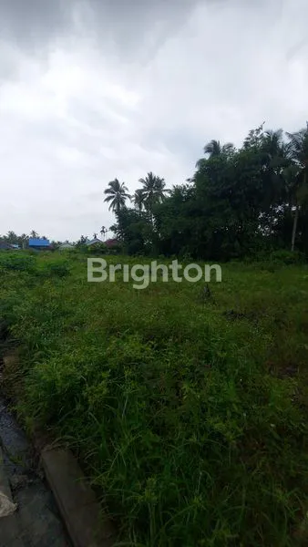 image LAHAN BESERTA 2 RUMAH DI TEPI JL.MULAWARMAN BALIKPAPAN TIMUR (6)