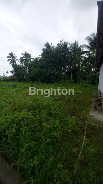 image LAHAN BESERTA 2 RUMAH DI TEPI JL.MULAWARMAN BALIKPAPAN TIMUR (7)