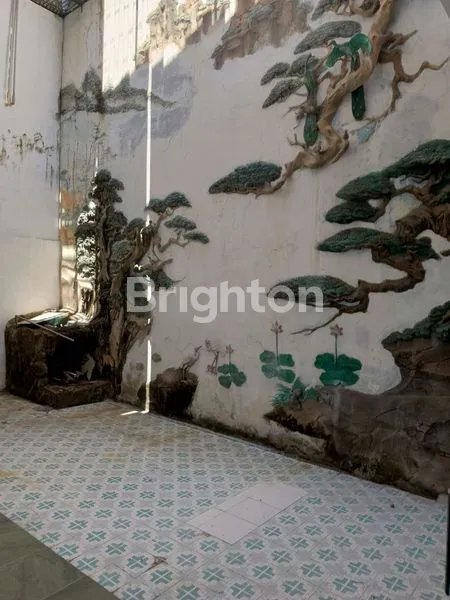 image NIRWANA EXECUTIVE (6)