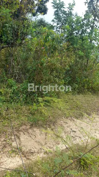 image TANAH KEBUN DIKAWASAN VILLA & TEMPAT WISATA  DI DESA SUKAJAYA JONGGOL (2)