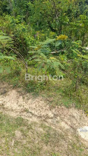 image TANAH KEBUN DIKAWASAN VILLA & TEMPAT WISATA  DI DESA SUKAJAYA JONGGOL (3)