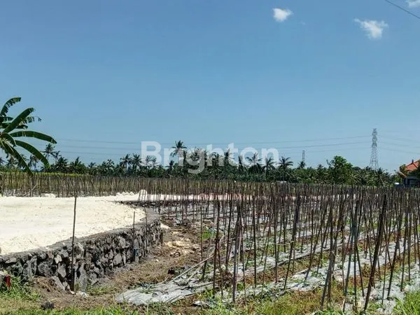 image DIJUAL TANAH KAPLING DI SUDIMARA TABANAN (3)