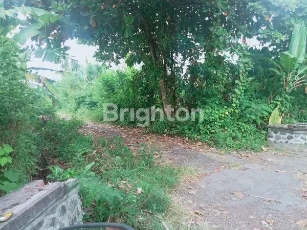 image 38 ARE TANAH MURAH HANYA 5 MENIT KE PANTAI SIYUT (2)