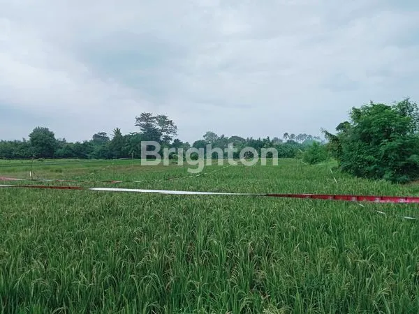 image 38 ARE TANAH MURAH HANYA 5 MENIT KE PANTAI SIYUT (4)