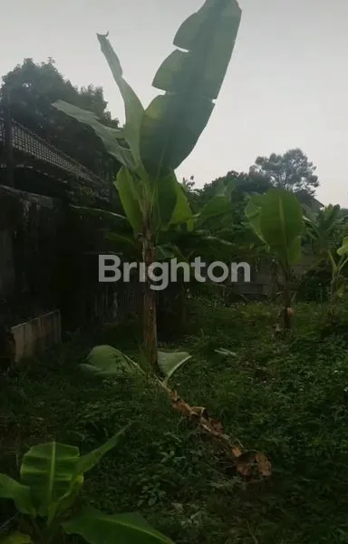 image LAHAN STRATEGIS.COCOK UNTUK USAHA/HUNIAN. GUNUNG GEDE- PAJAJARAN BOGOR (3)