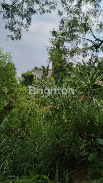 image TANAH DI GUNUNG SINDUR BOGOR SANGAT COCOK DIBUAT CLUSTER PERUMAHAN DAN PERKEBUNAN (3)