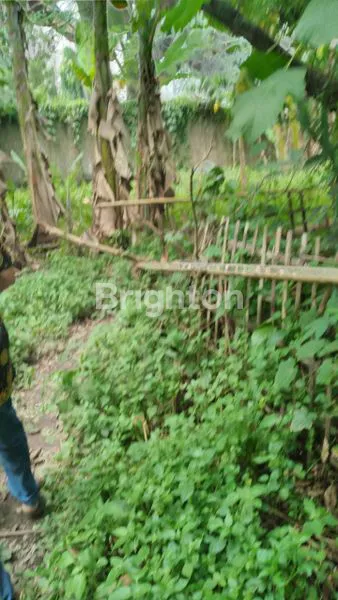 image TANAH DI GUNUNG SINDUR BOGOR SANGAT COCOK DIBUAT CLUSTER PERUMAHAN DAN PERKEBUNAN (6)