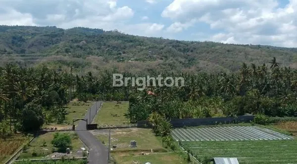 image LAND FOR RENT MINIMAL 25YEAR IN THE VILLA AREA OF BHUMI LOVINA RESIDENCE (5)