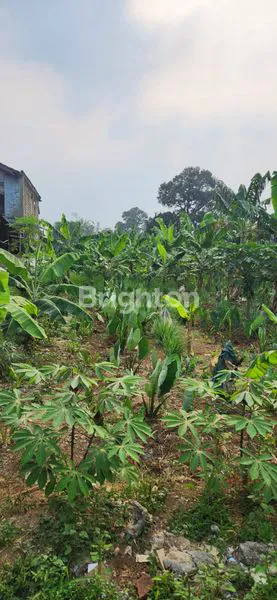 image TANAH DIJUAL PINGGIR JALAN SANGAT STRATEGIS DI BOGOR DEKAT SUMARECON (5)