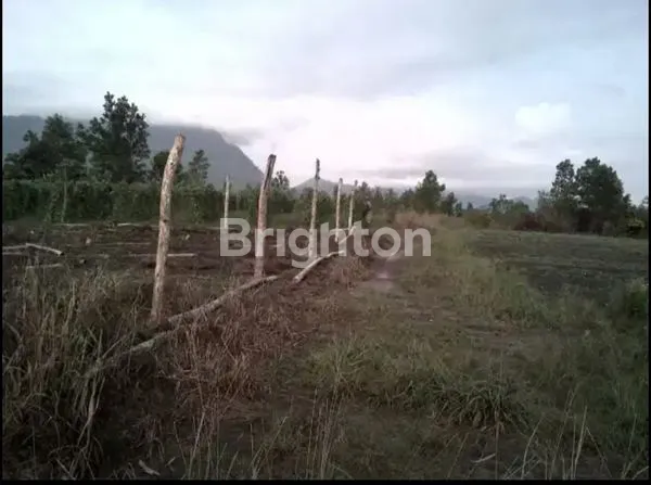 image LAHAN KOMERSIL LUAS PINGGIR JALAN UTAMA COCOK UNTUK GUDANG. PERUMAHAN, MALL., WATERBOOM, HOTEL SINGKAWANG SELATAN (1)