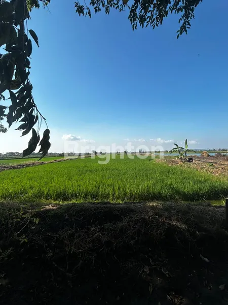 image TANAH DI CERME LOR GRESIK COCOK UNTUK USAHA (1)