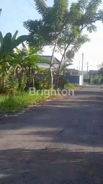 image LAND FOR RENT MINIMAL 25YEAR IN THE VILLA AREA OF BHUMI LOVINA RESIDENCE (7)