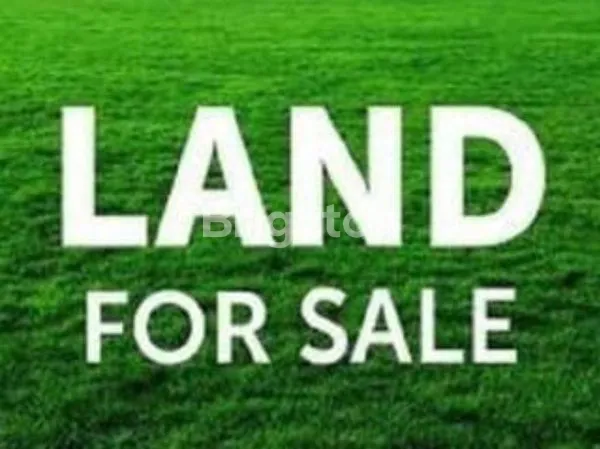 image TANAH KAVLING LOTUS PALACE, PIK (1)