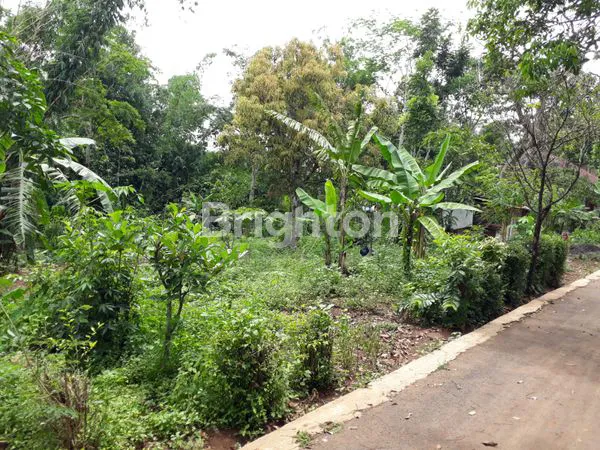 image TANAH DAERAH MIJEN BELAKANG HILAGO KOPI BLIRIK NGALIYAN (1)