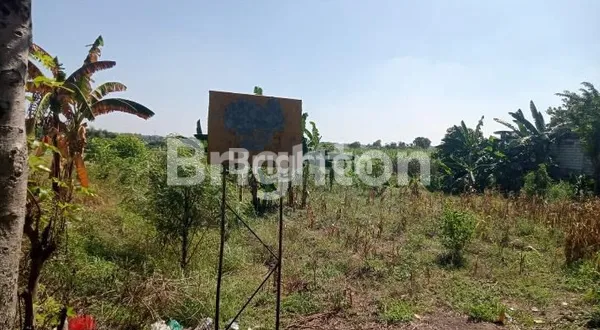 image TANAH DI WRINGIN ANOM GRESIK (1)