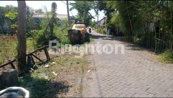 image TANAH DI WRINGIN ANOM GRESIK (2)
