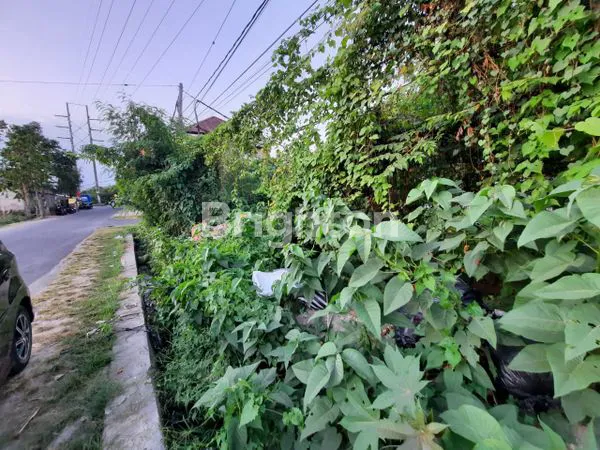image TANAH 4 ARE PINGGIR JL RAYA MUDING (2)