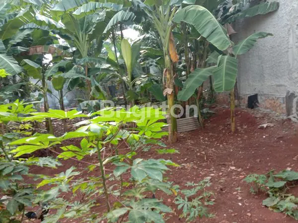 image JUAL CEPAT TANAH DARAT DEKAT TOL KUNCIRAN, SERPONG, TANGERANG SELATAN (7)