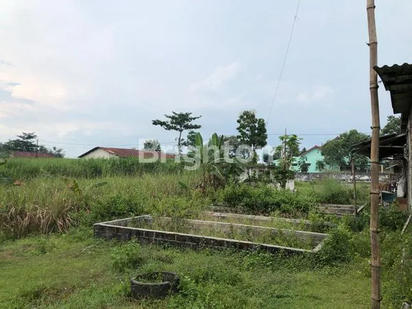 image TANAH POTENSIAL ZONA KUNING POROS JALAN AKSES CONTAINER-TRONTON AREA WONOSARI-BADANG-NGORO JOMBANG (3)