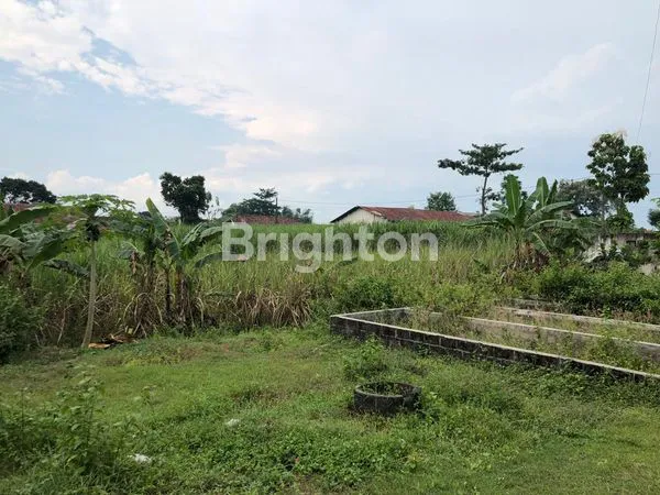 image TANAH POTENSIAL ZONA KUNING POROS JALAN AKSES CONTAINER-TRONTON AREA WONOSARI-BADANG-NGORO JOMBANG (4)