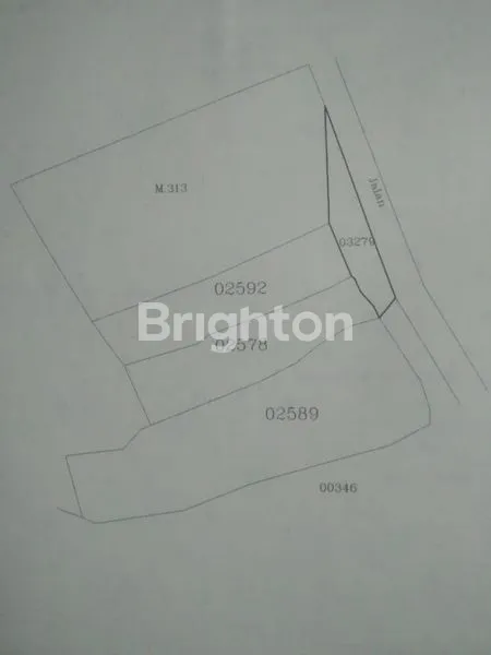 image TANAH PROSPEKTIF DI DESA ANGSERI TABANAN, COCOK UNTUK DIBANGUN VILLA (2)