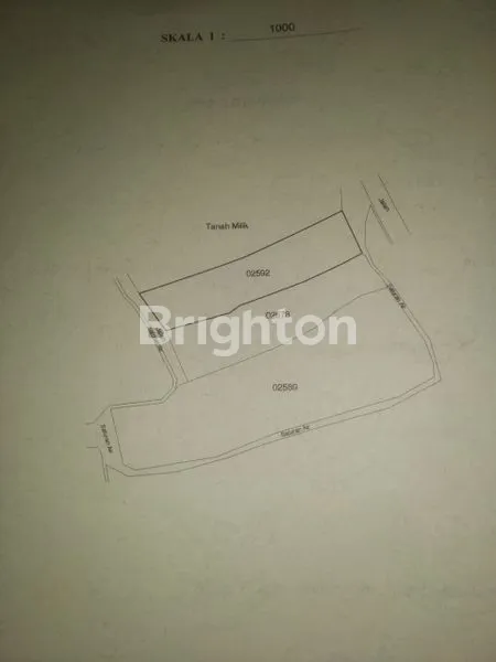 image TANAH PROSPEKTIF DI DESA ANGSERI TABANAN, COCOK UNTUK DIBANGUN VILLA (3)