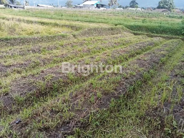 image TANAH PROSPEKTIF DI DESA ANGSERI TABANAN, COCOK UNTUK DIBANGUN VILLA (4)