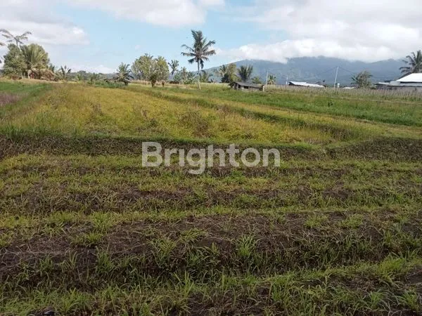 image TANAH PROSPEKTIF DI DESA ANGSERI TABANAN, COCOK UNTUK DIBANGUN VILLA (1)