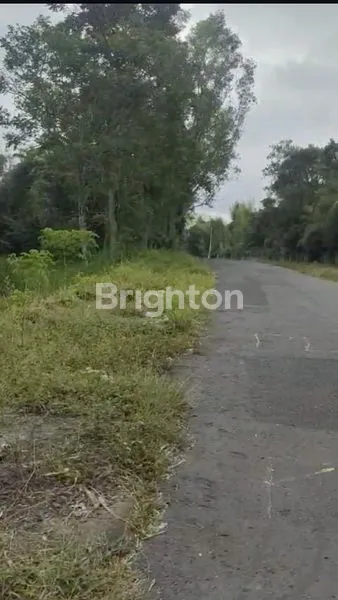image TANAH LUAS DAERAH DINGIN DEKAT WISATA MERAPI PARK YOGYA (2)
