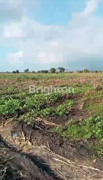 DIJUAL TANAH LUAS, SUMBAWA NTB