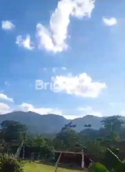 image VILA DENGAN PEMANDANGAN CANTIK DAN AKSES KE SUNGAI. DILENGKAPI BERBAGAI FASILITAS  (3)