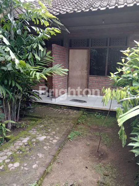 image PONDOK WISATA SINGARAJA (1)