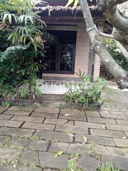 image PONDOK WISATA SINGARAJA (4)