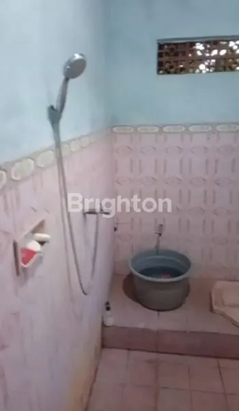 image PONDOK WISATA SINGARAJA (8)