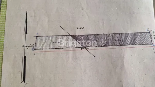 image TANAH CANTIK SANGAT STRATEGIS (3)