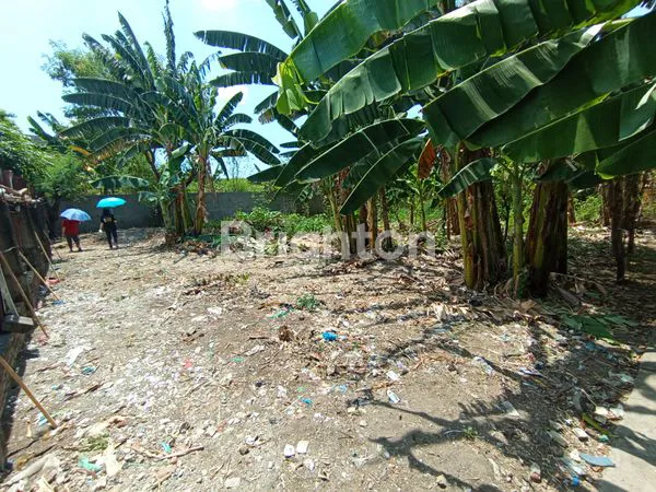 TANAH 3 MENIT KE JL RAYA MAJAPAHIT SEMARANG