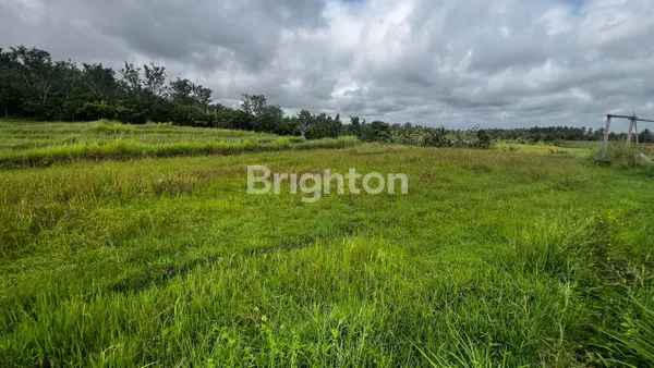image TANAH STRATEGIS 4.850M² DI TABANAN, VIEW SAWAH (3)