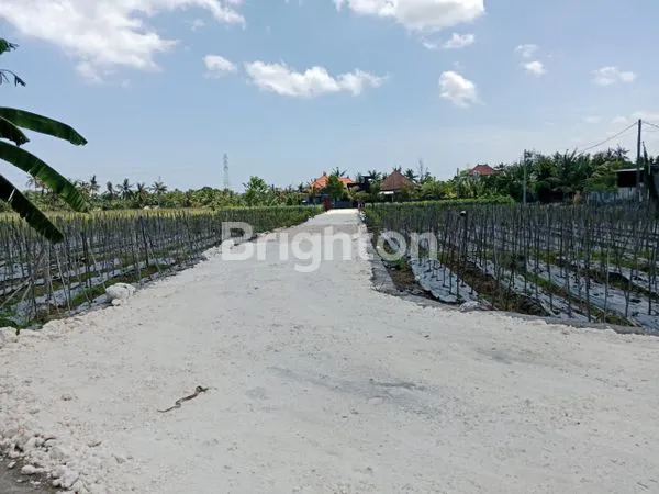 image DI JUAL TANAH KAPLING  SUDIMARA  TABANAN (1)